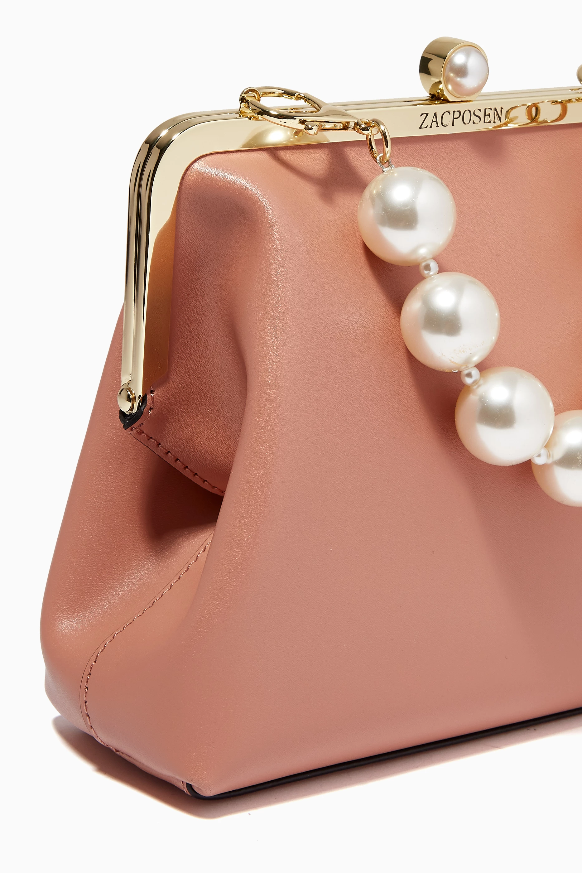 Buy ZAC Zac Posen Neutral Lacey Frame Clutch in Leather for