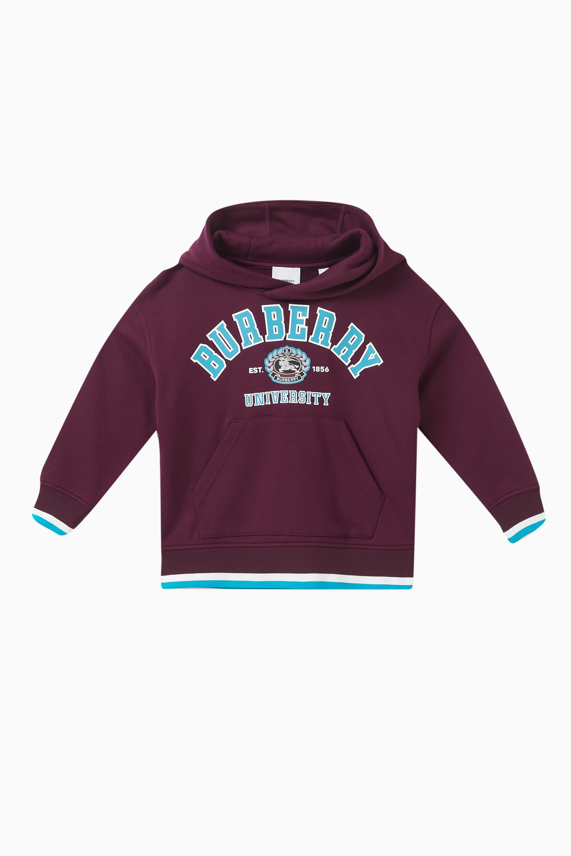 Burberry hoodie deals que es