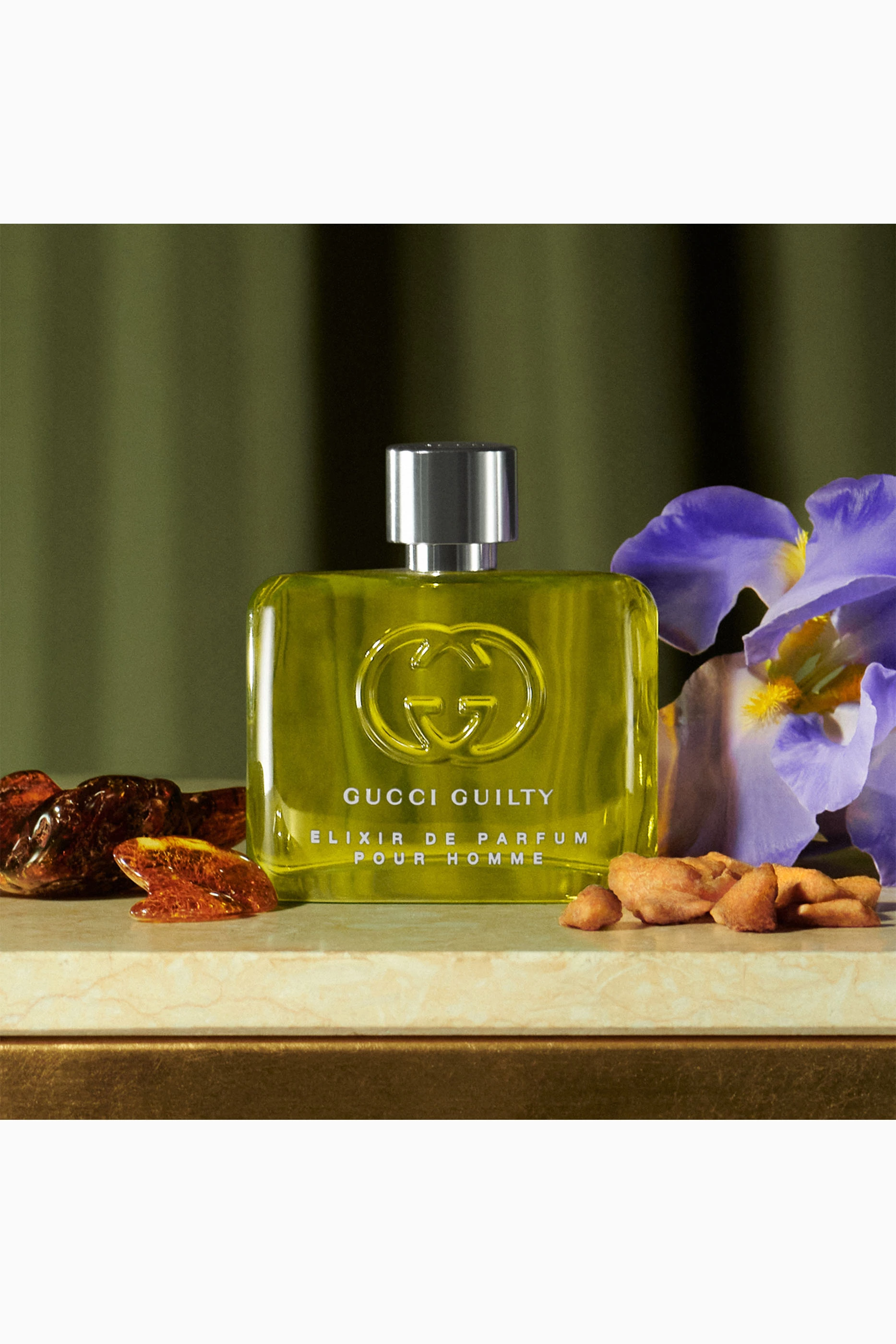 Alliance gucci 2025 homme