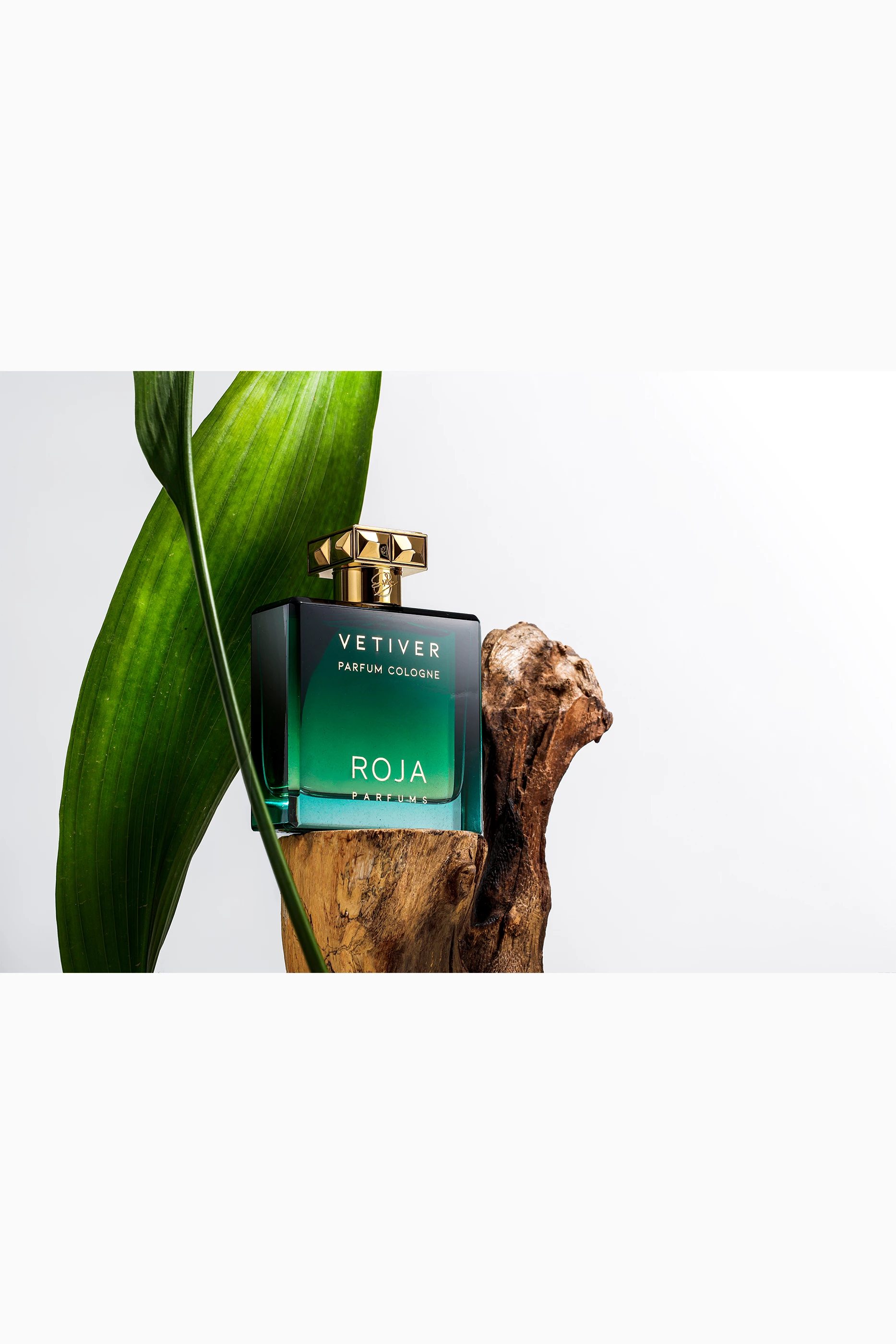 Buy Roja Vetiver Pour Homme Parfum Cologne, 100ml For UNISEX