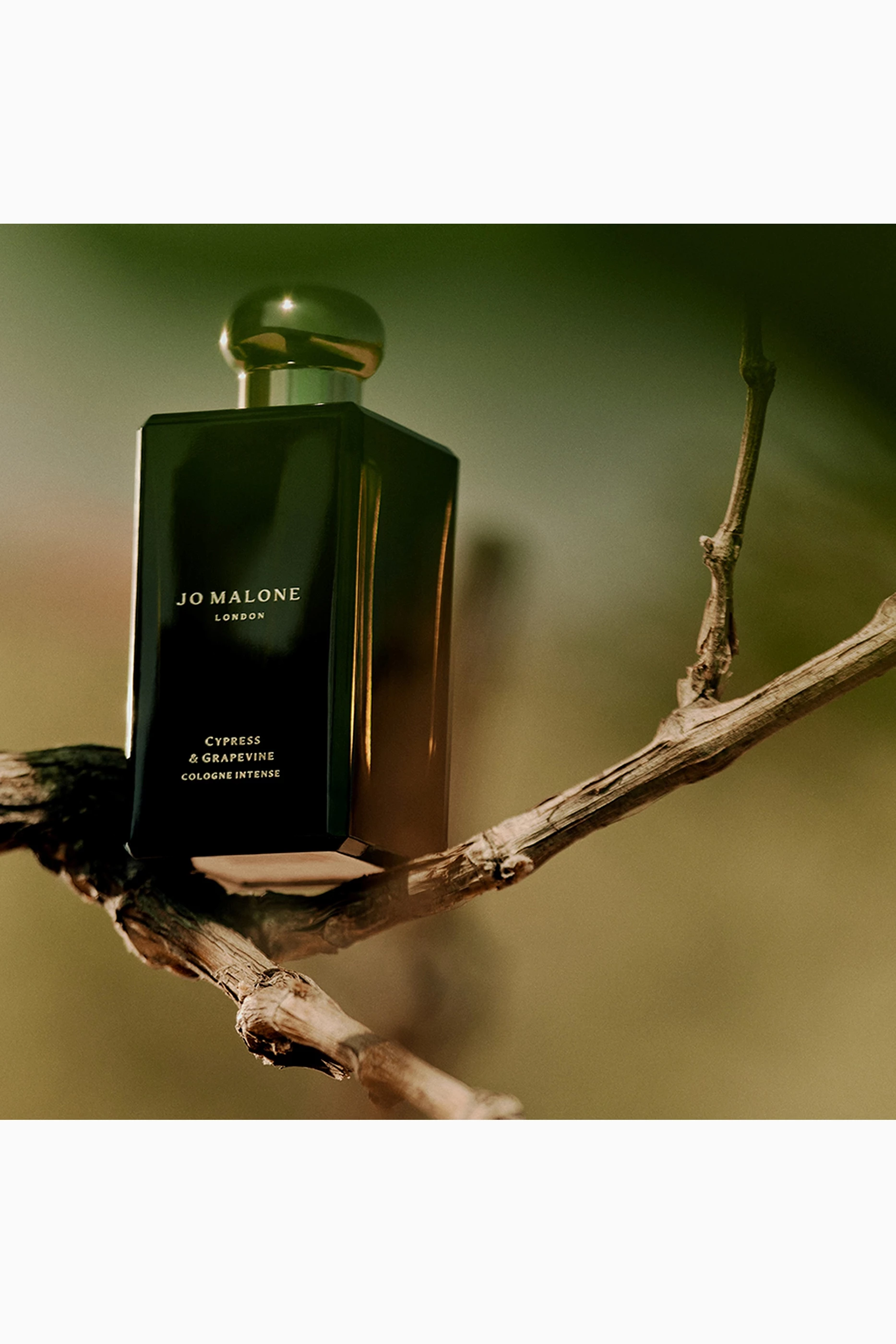 Buy Jo Malone London Cypress & Grapevine Eau de Parfum