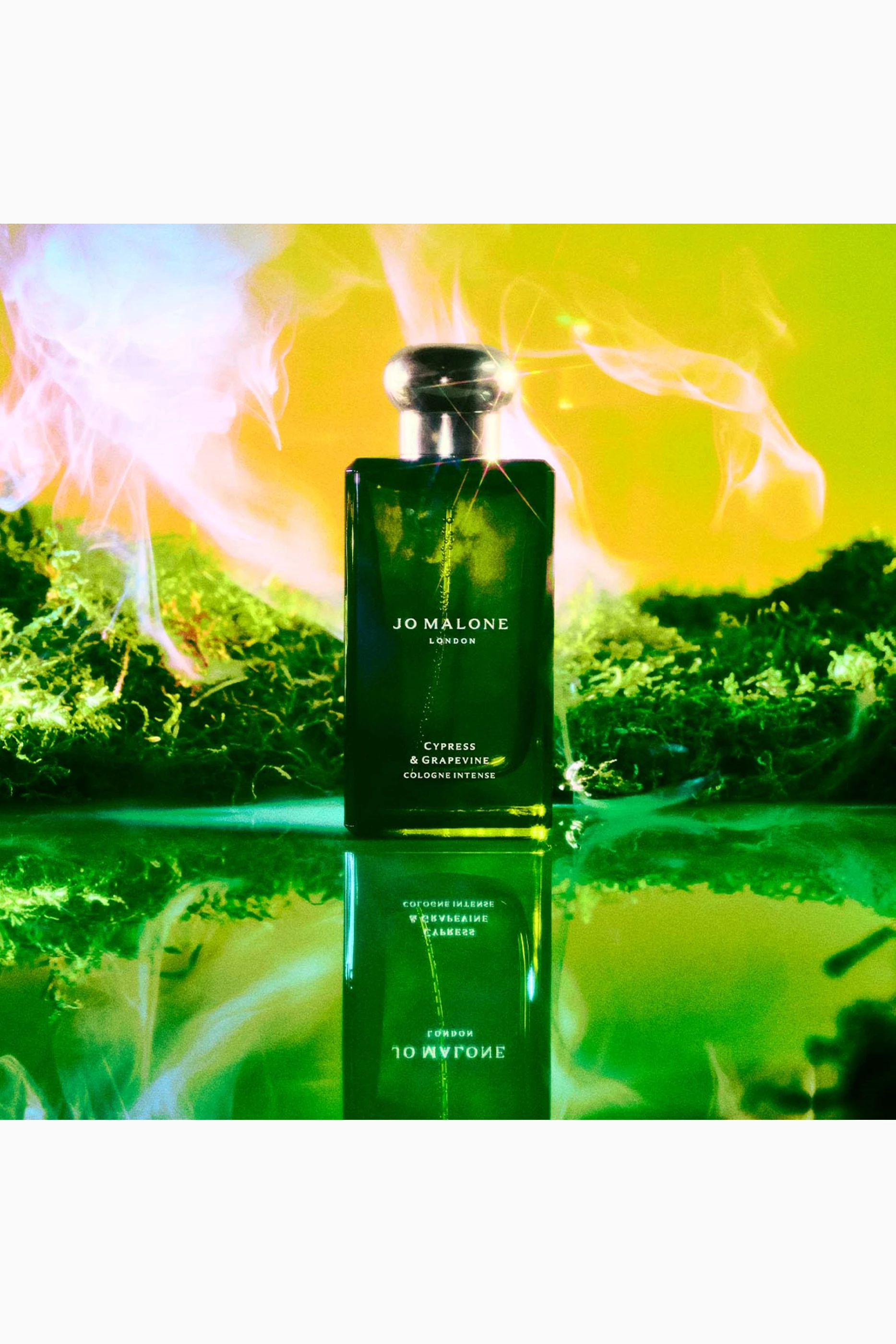 Amazon.com : Jo Malone Cypress and Grapevine Intense Cologne