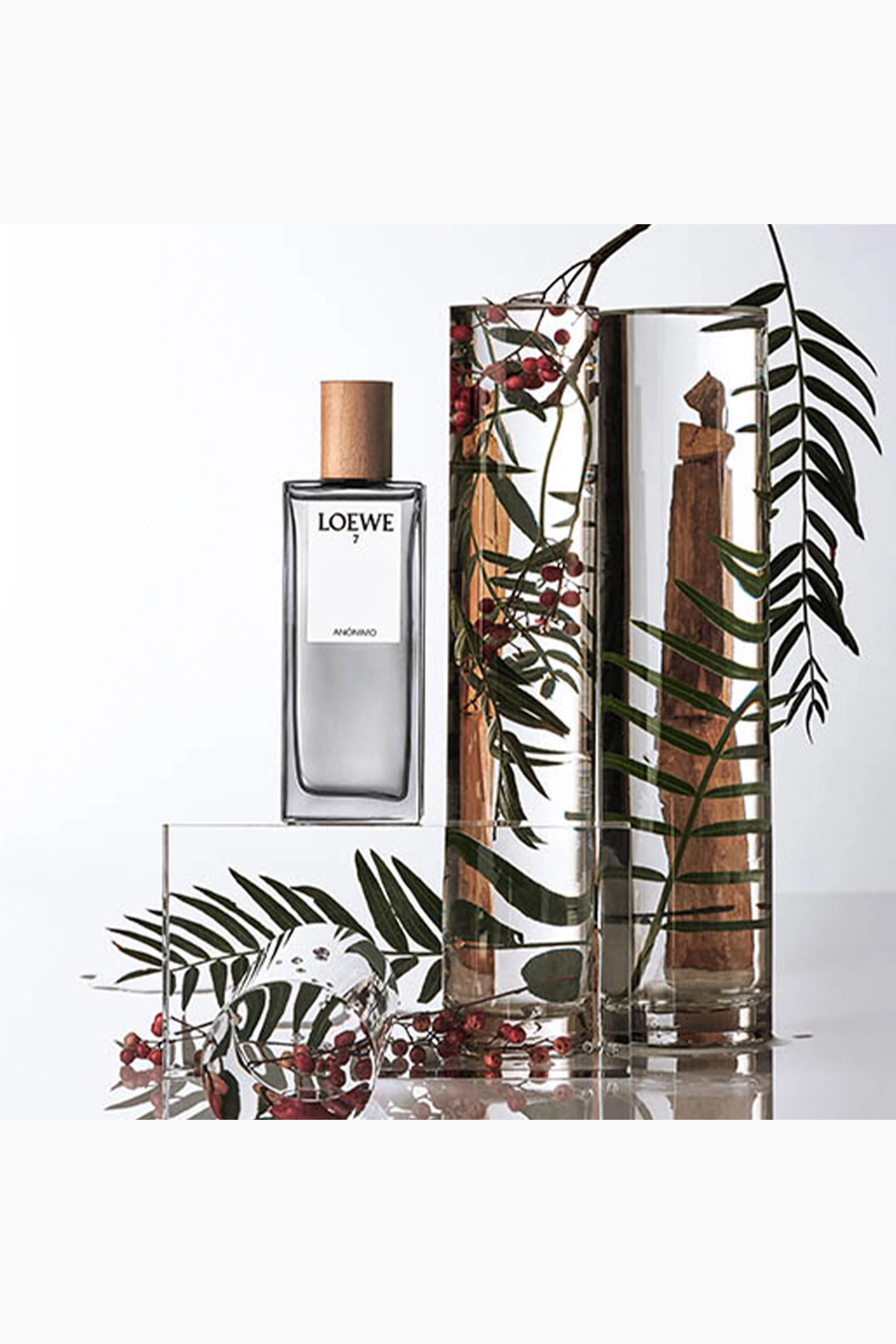 Buy LOEWE PERFUMES 7 Anonimo Eau de Parfum, 100ml For Men Online