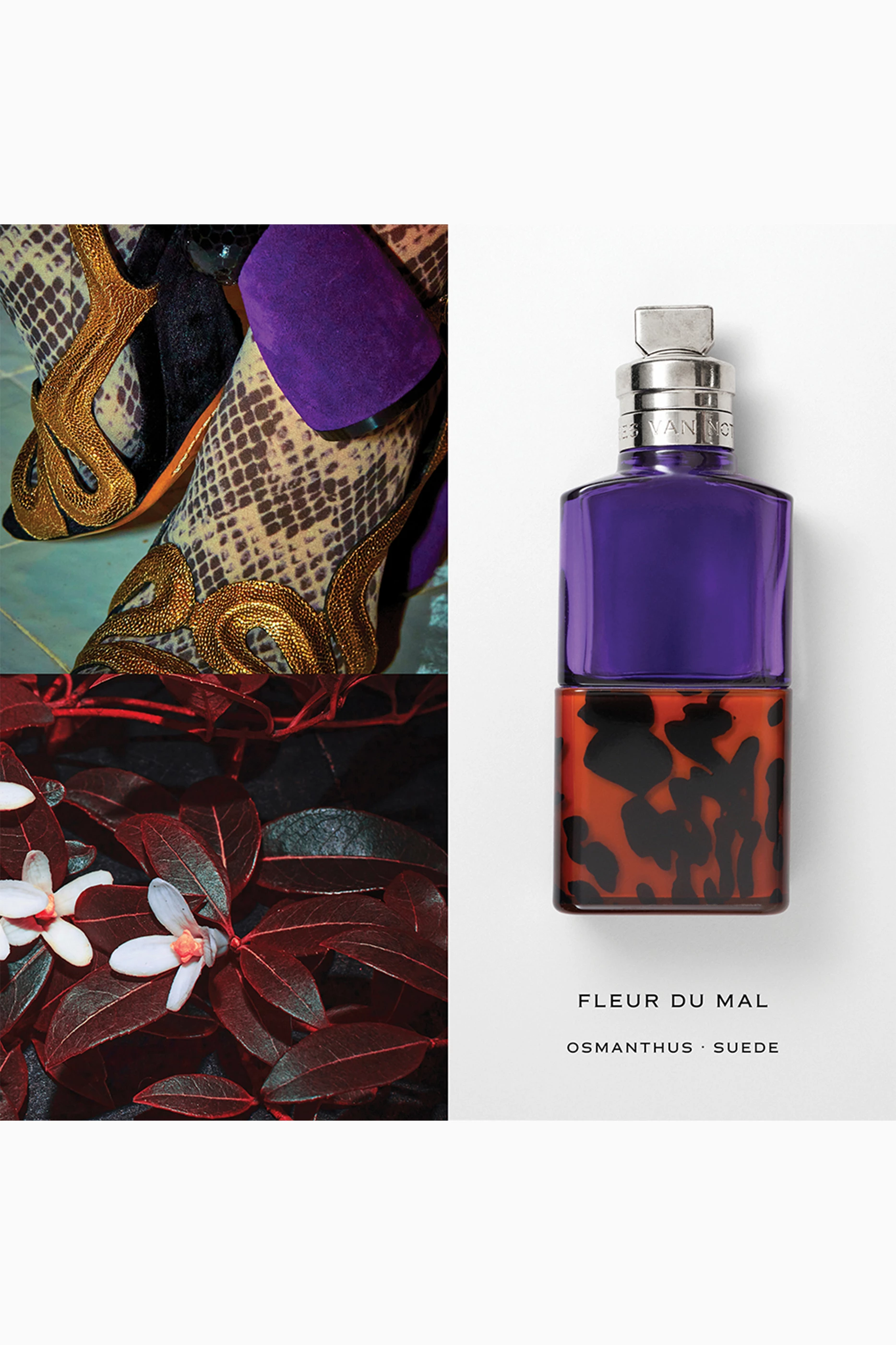 DRIES VAN NOTEN fleur du mal フルール デュ マル Eau de Parfum Fleur du Mal | Dries Van Noten