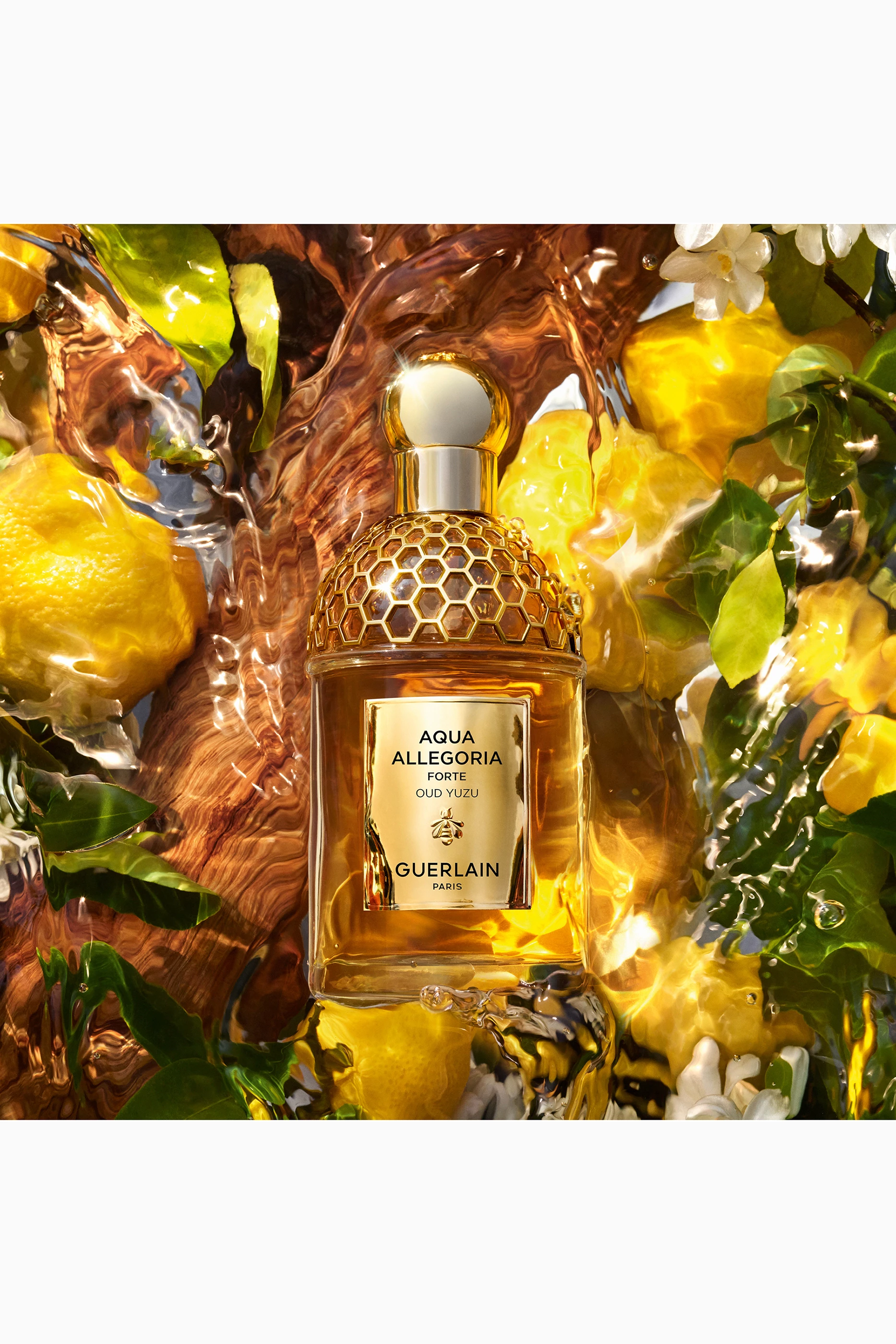 Buy Guerlain Aqua Allegoria Woody Forte Oud Yuzu Eau de Parfum - Main Image