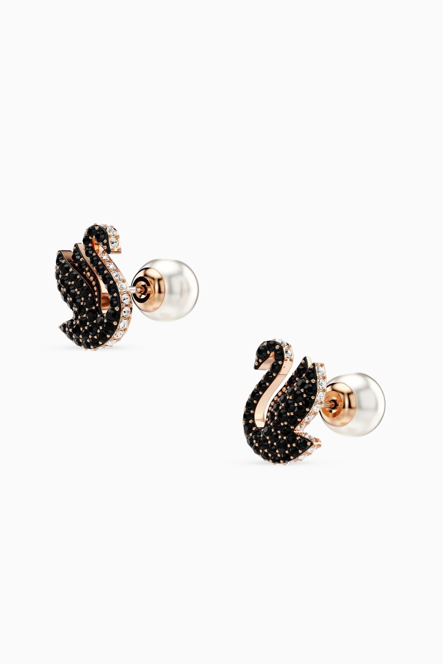 Buy Swarovski Black Iconic Swan Stud Earrings in Rose Gold-plated