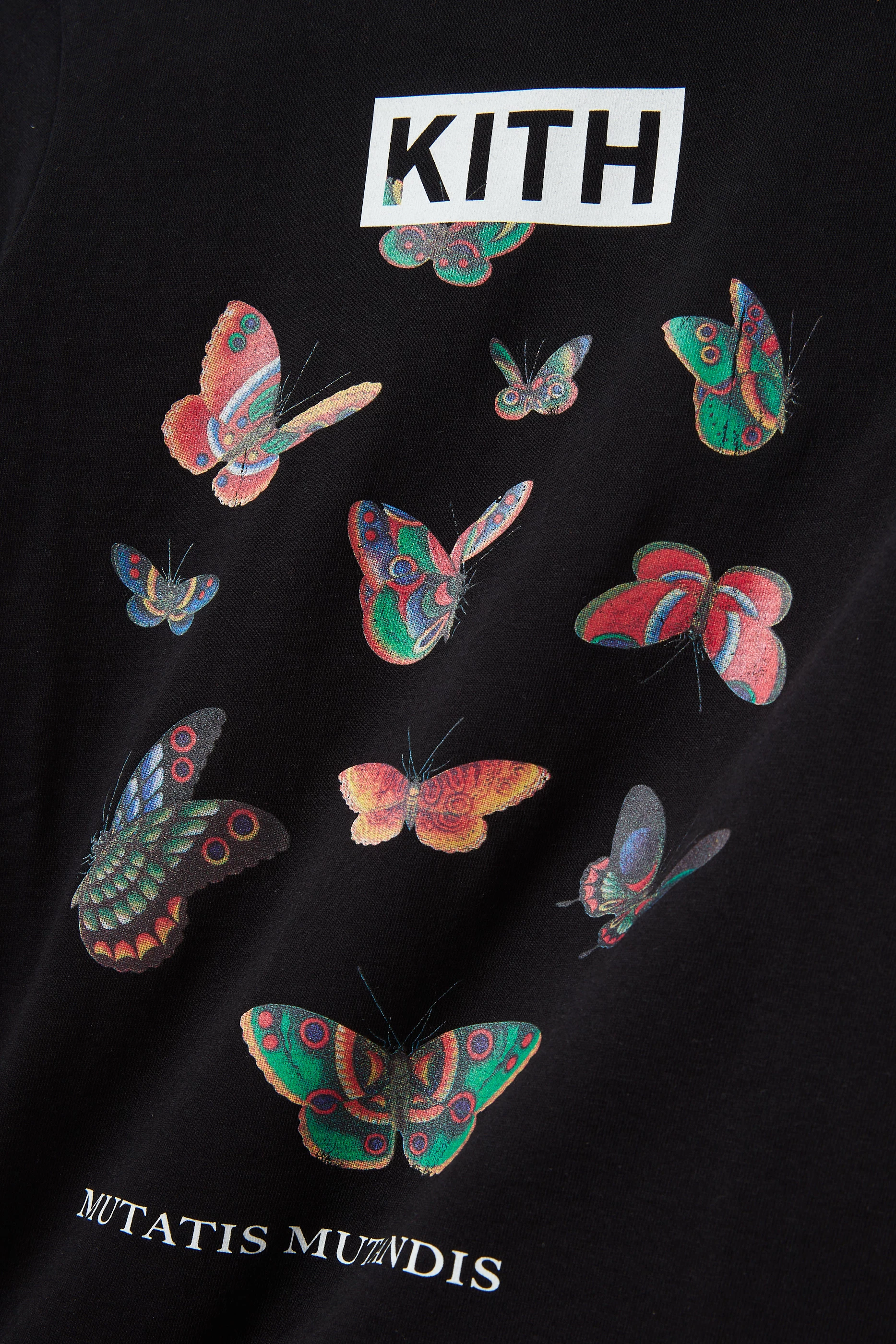 217005966_c015_bk.jpg?ts=