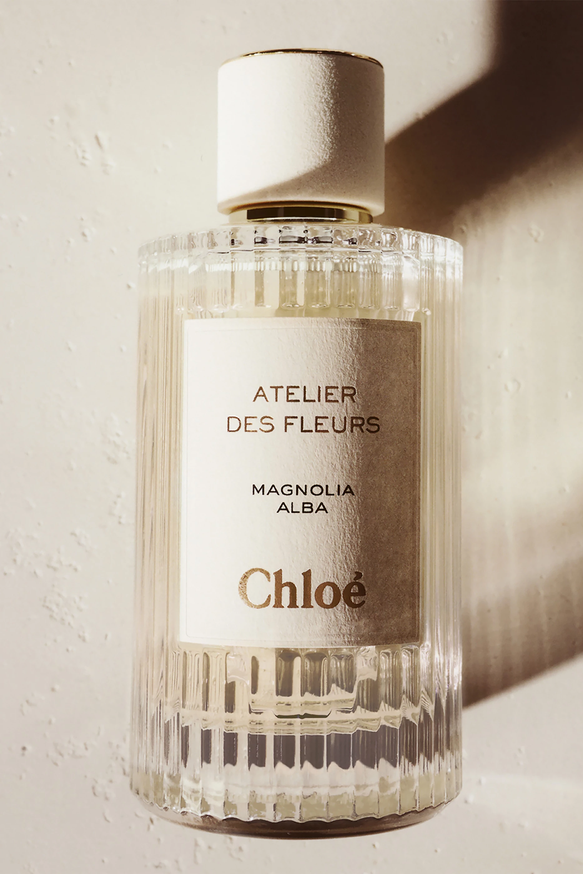 Buy Chloé Perfumes Atelier des Fleurs Magnolia Alba Eau de