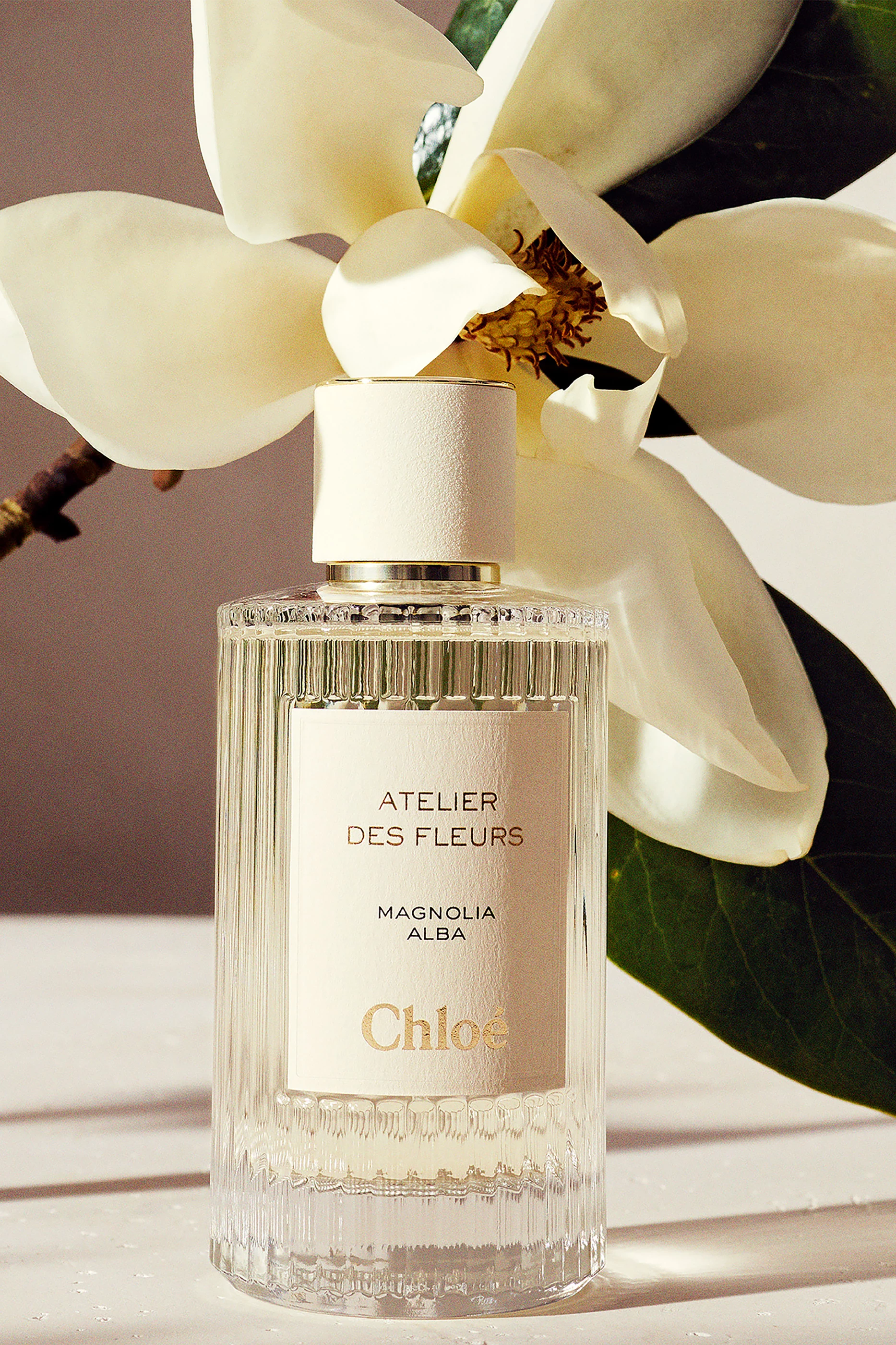 Chloé Atelier des Fleurs Magnolia Alba Magnolia Alba Chloé perfume - a fragrance for women 2019