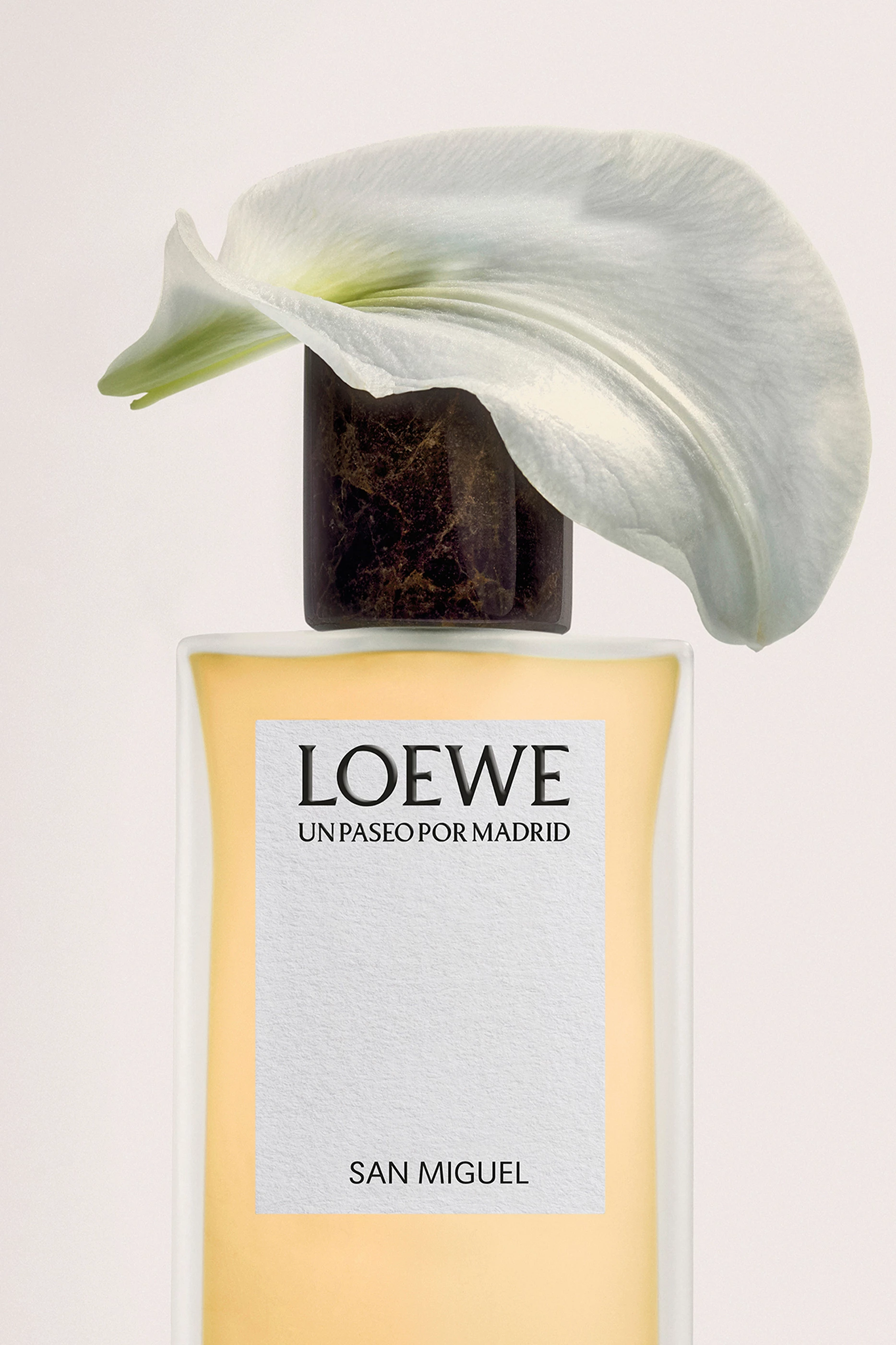 Buy LOEWE PERFUMES Un Paseo Por Madrid San Miguel Eau de Parfum