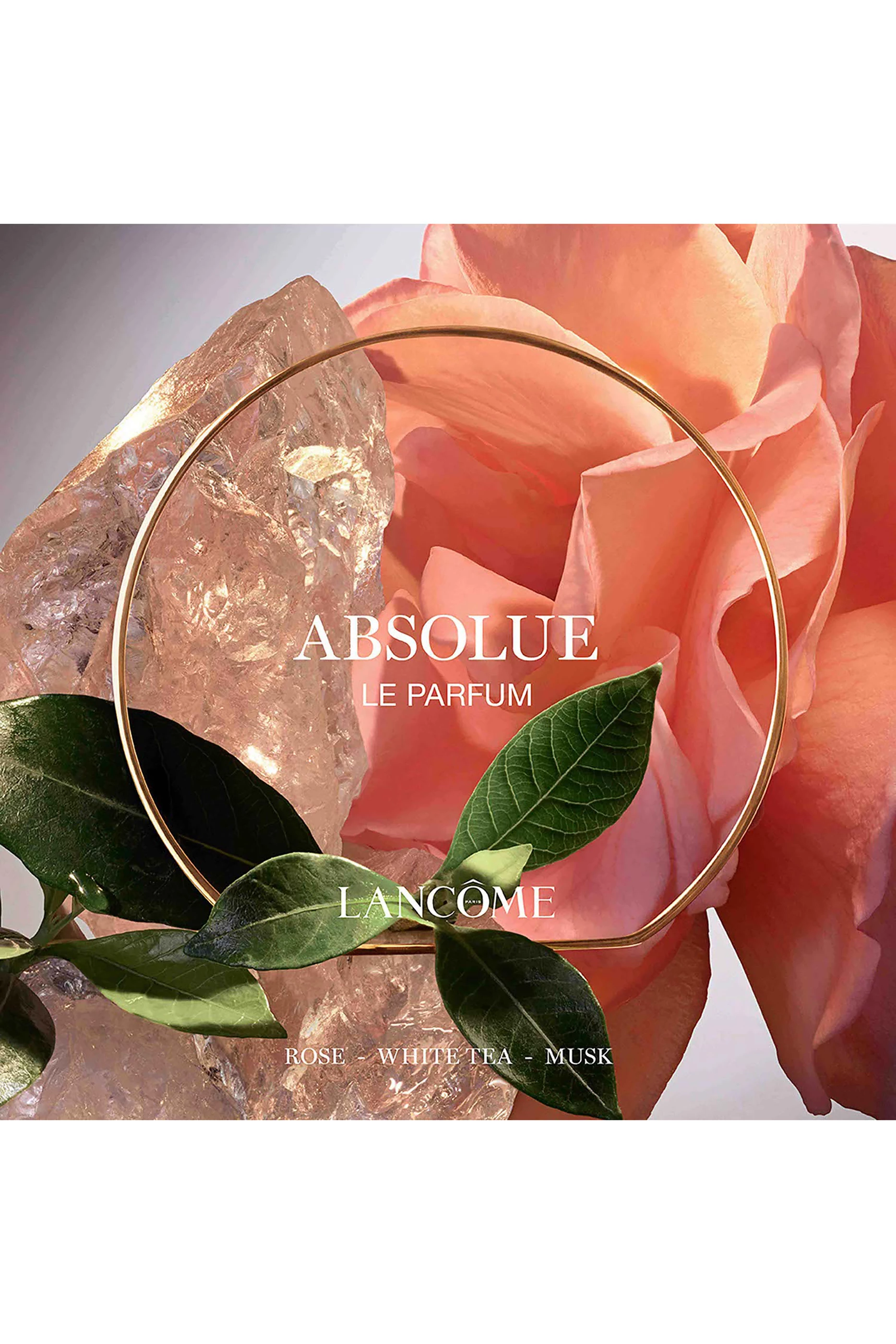 Buy Lancôme Absolue Le Parfum Eau de Parfum, 100ml For Women 