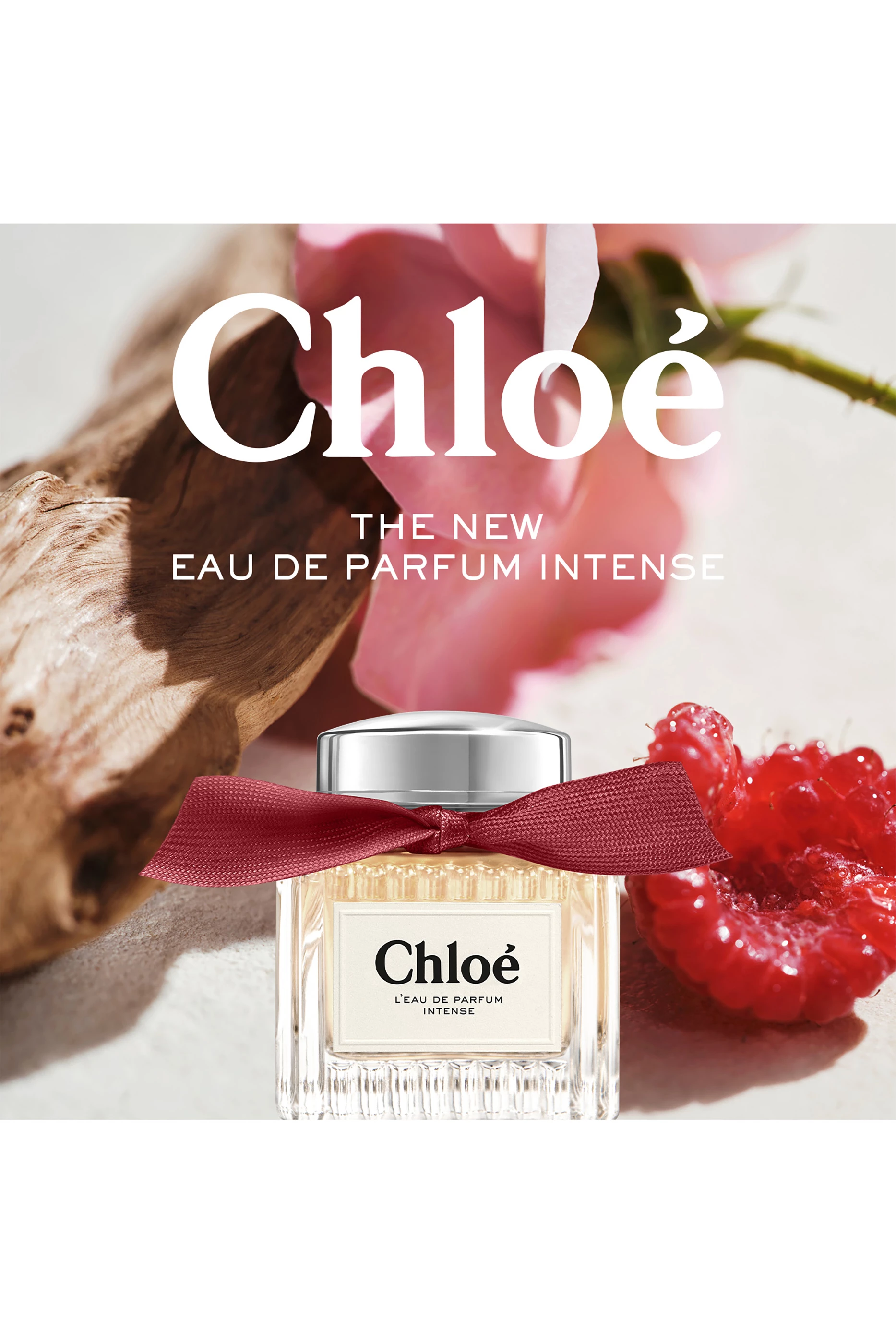 Buy Chloé Perfumes Chloé L'Eau de Parfum Intense, 100ml For