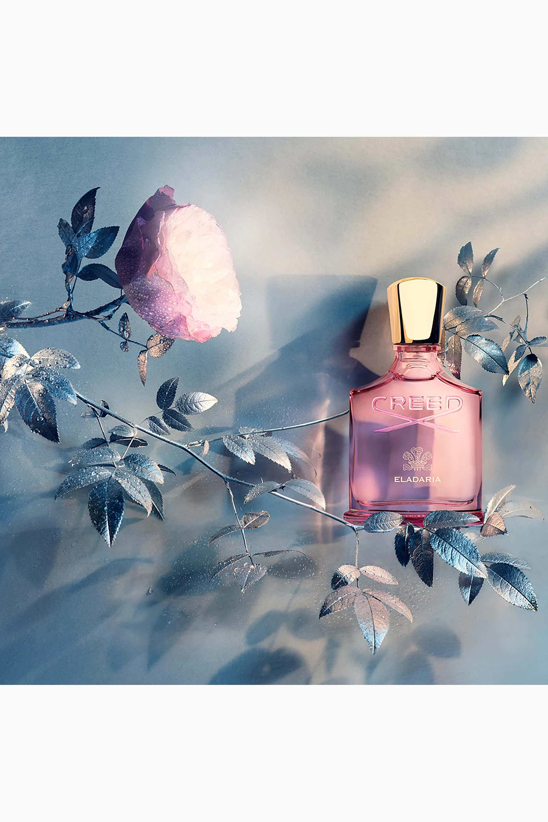 [国内正規品] CREED ELADARIA 75ml Creed Eladaria Eau de Parfum | Saks Fifth Avenue