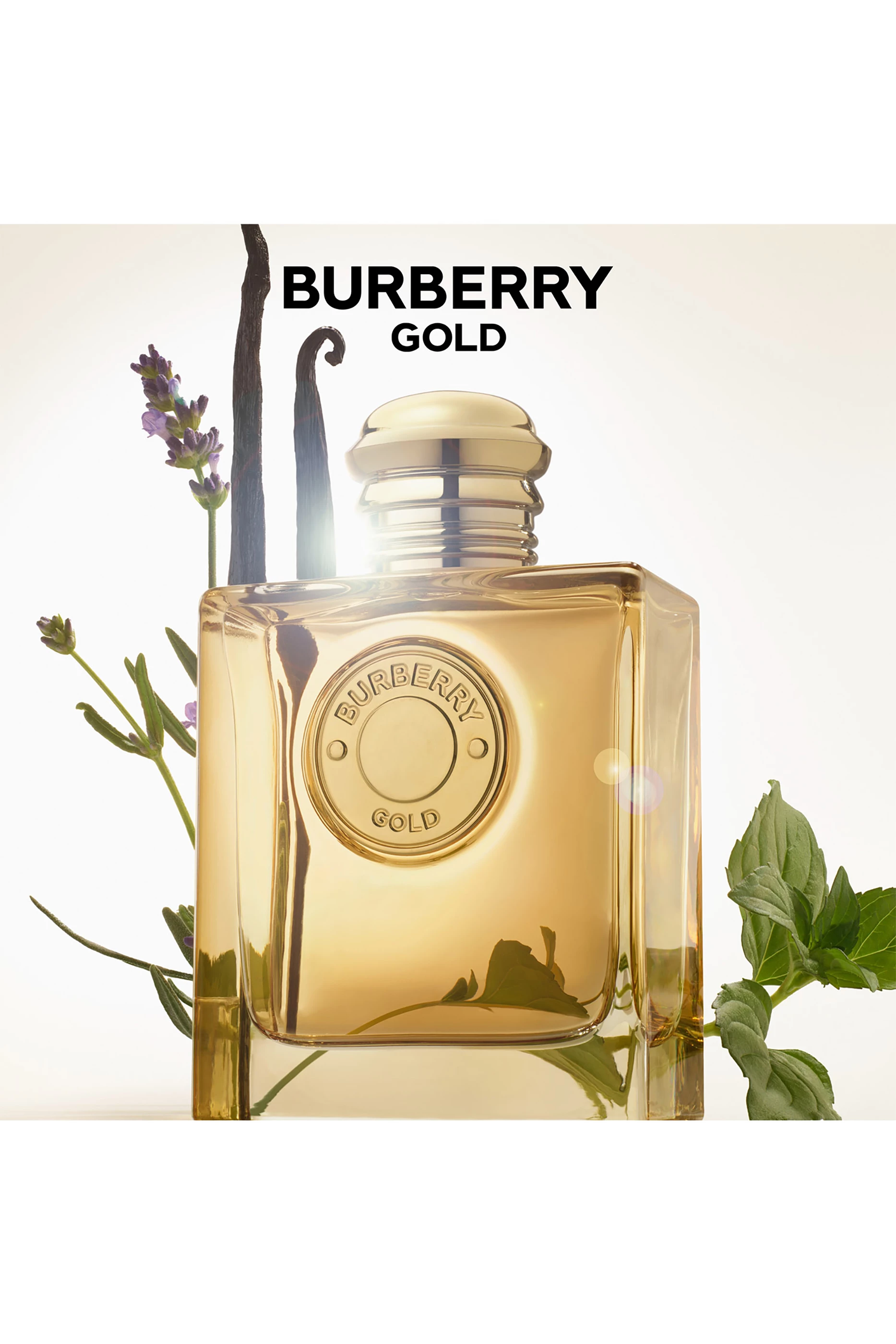 Eau De Parfum Burberry Brit Gold Limited Edition 100ml Buy