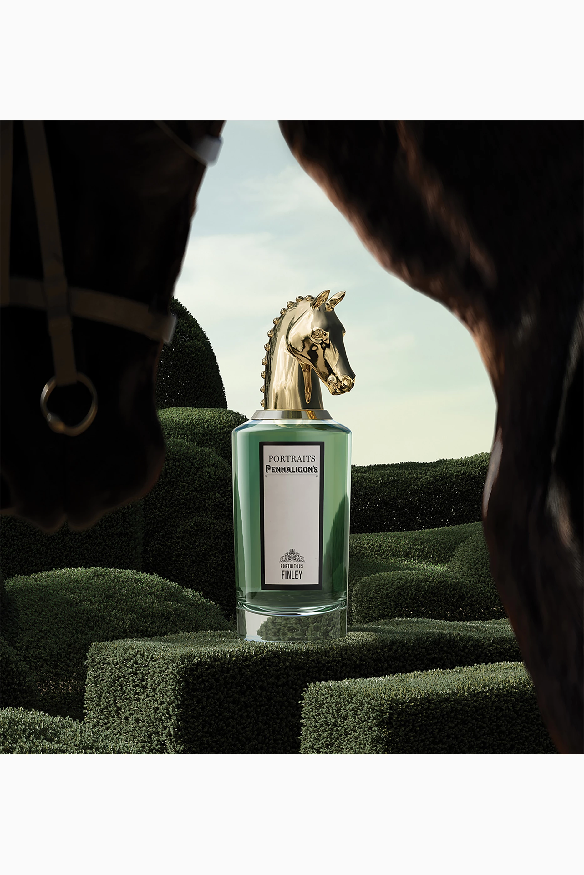 Buy Penhaligon's Fortuitous Finley Eau de Parfum, 75ml For UNISEX