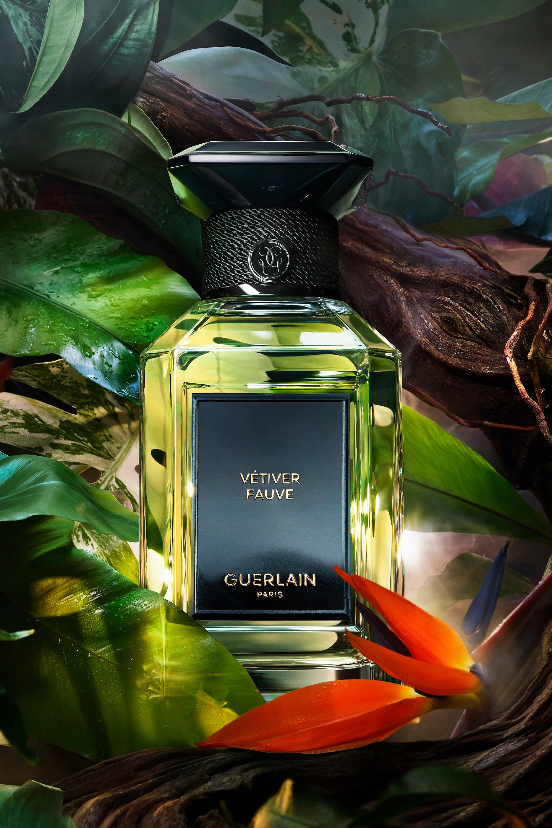 Buy Guerlain Vétiver Fauve Eau de Parfum, 100ml For UNISEX Online