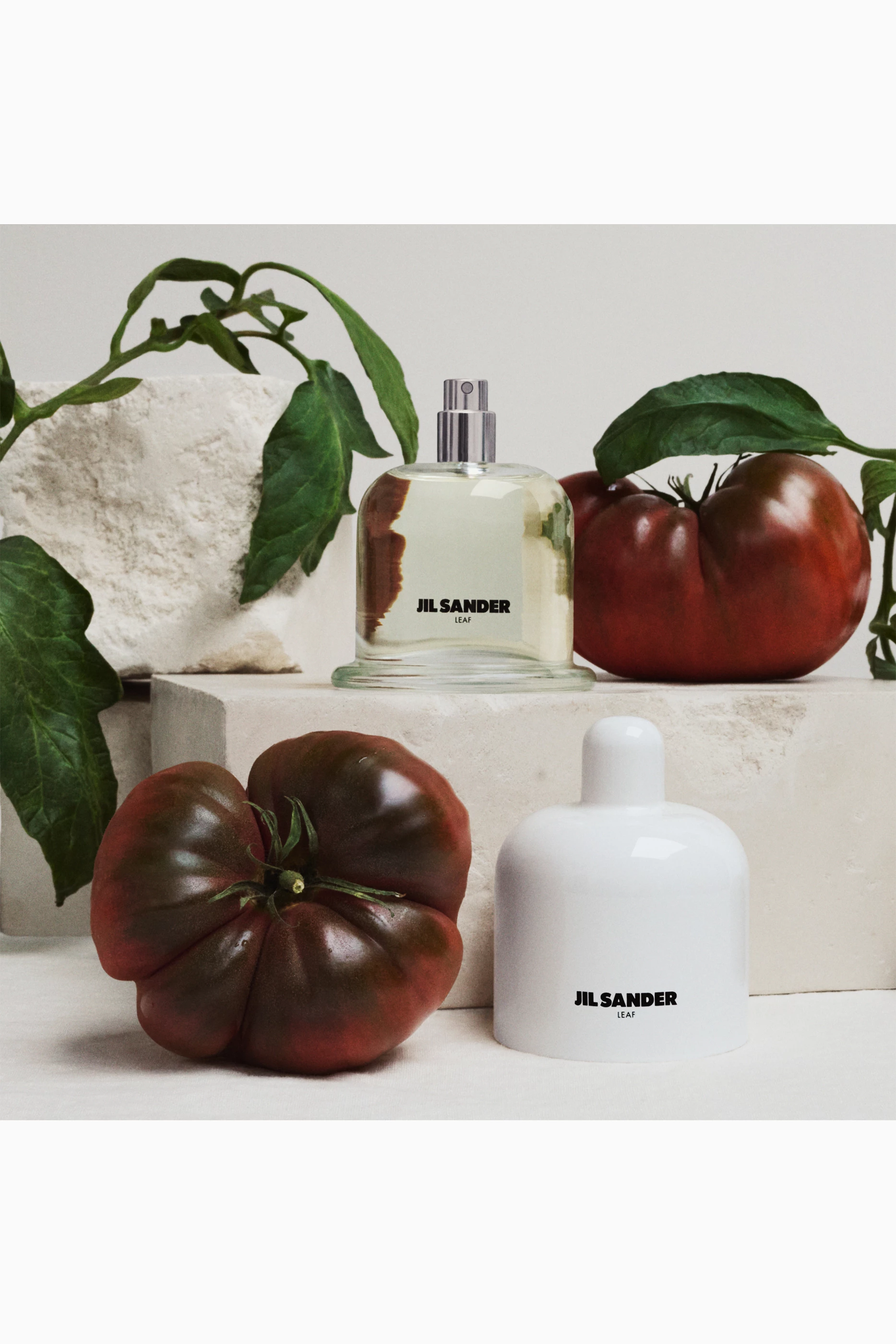 Buy Jil Sander Fragrances Leaf Eau de Parfum, 100ml For UNISEX