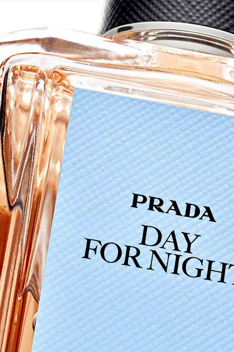 Prada night online