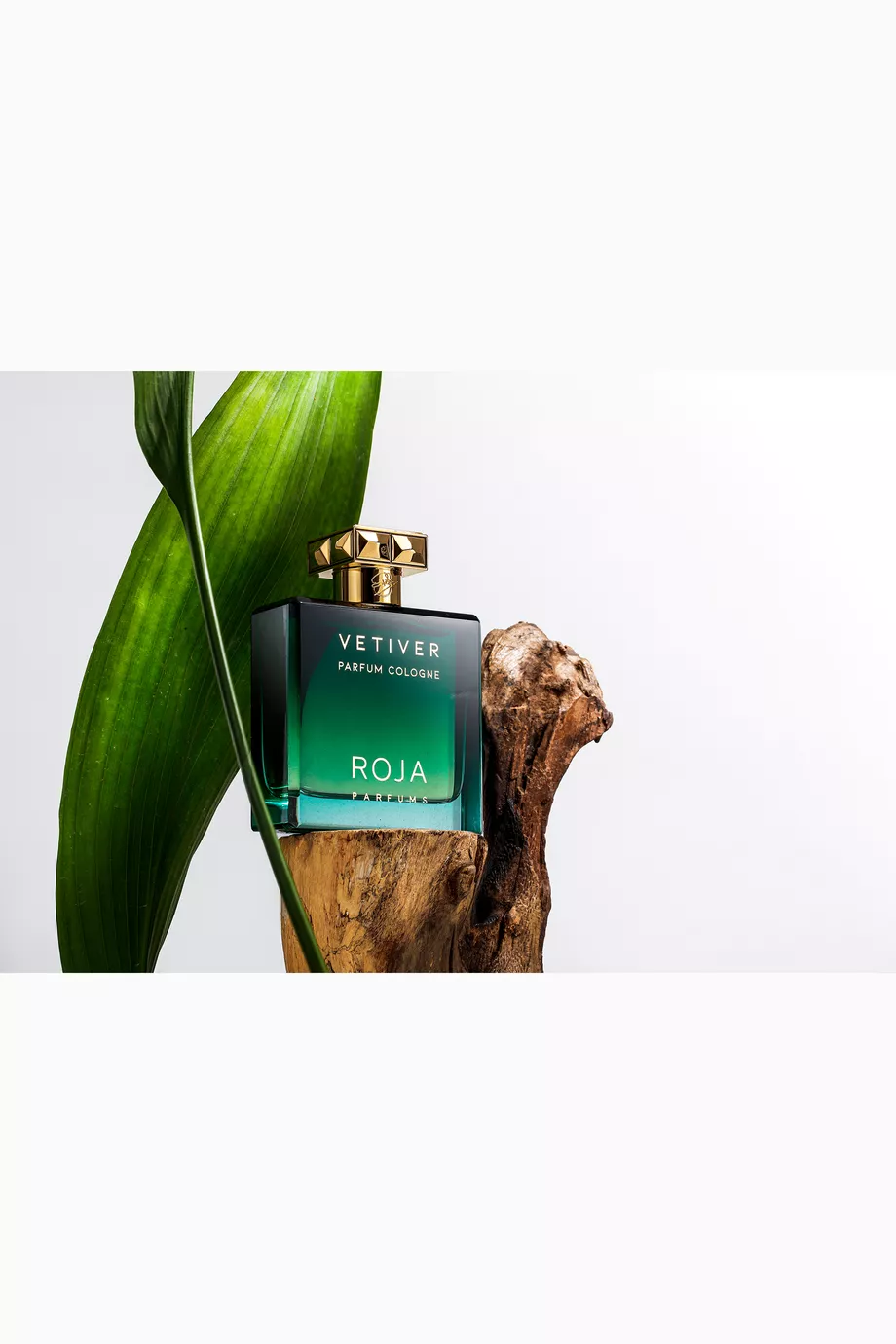 Buy Roja Vetiver Pour Homme Parfum Cologne, 100ml For UNISEX