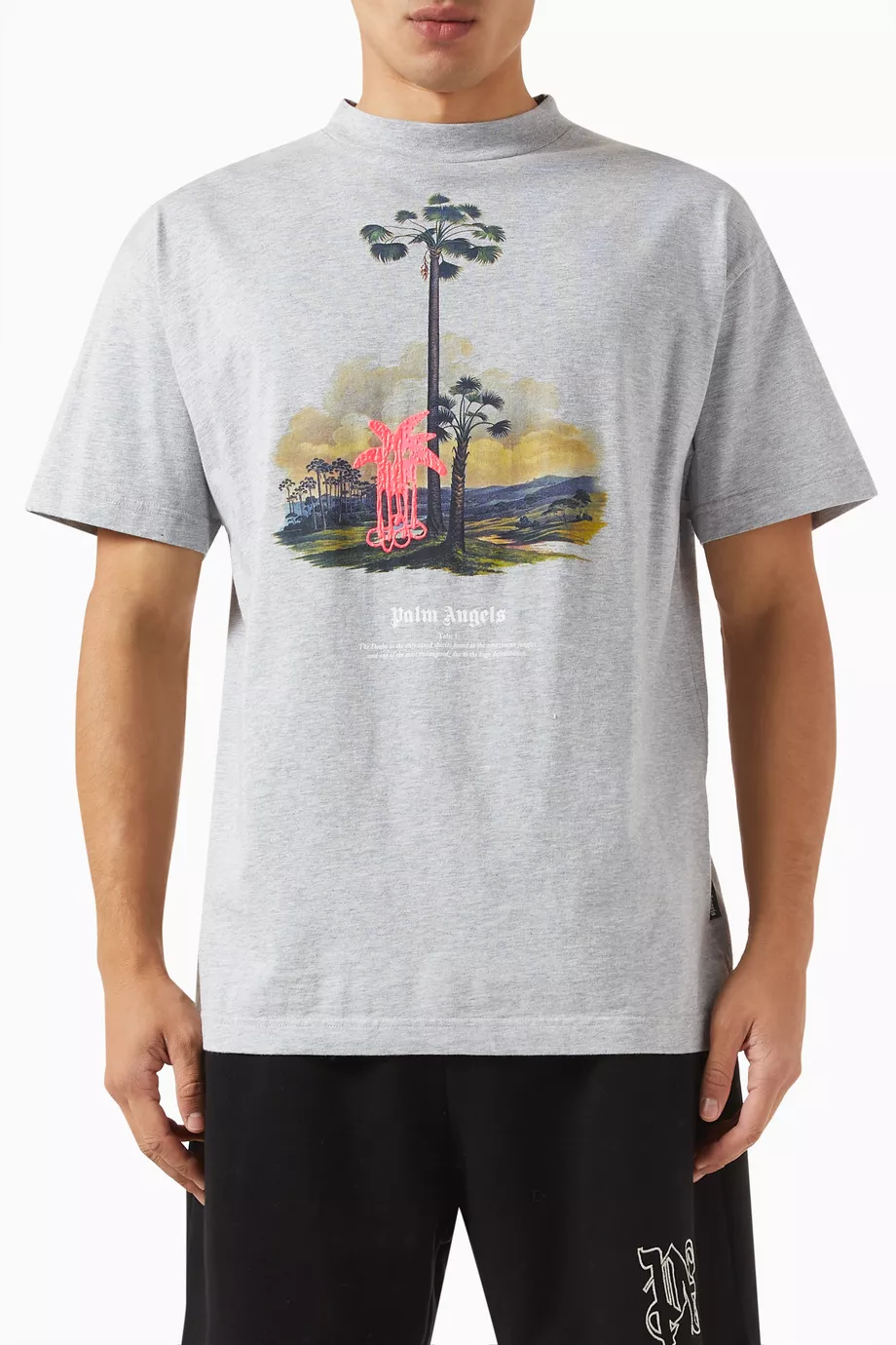 Buy Palm Angels Grey Douby Lost in Amazonia T-shirt in
