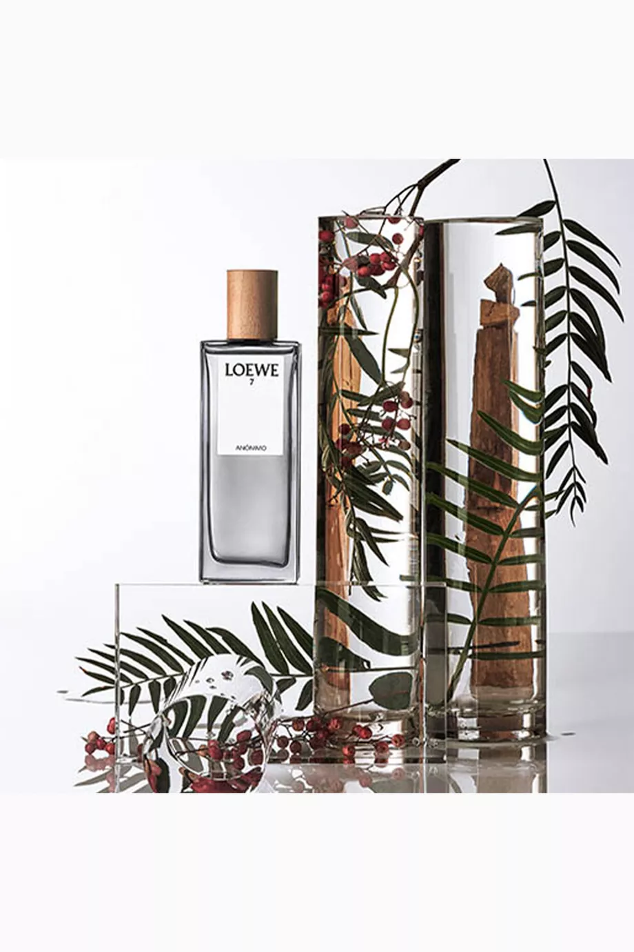 Buy LOEWE PERFUMES 7 Anonimo Eau de Parfum, 100ml For Men Online