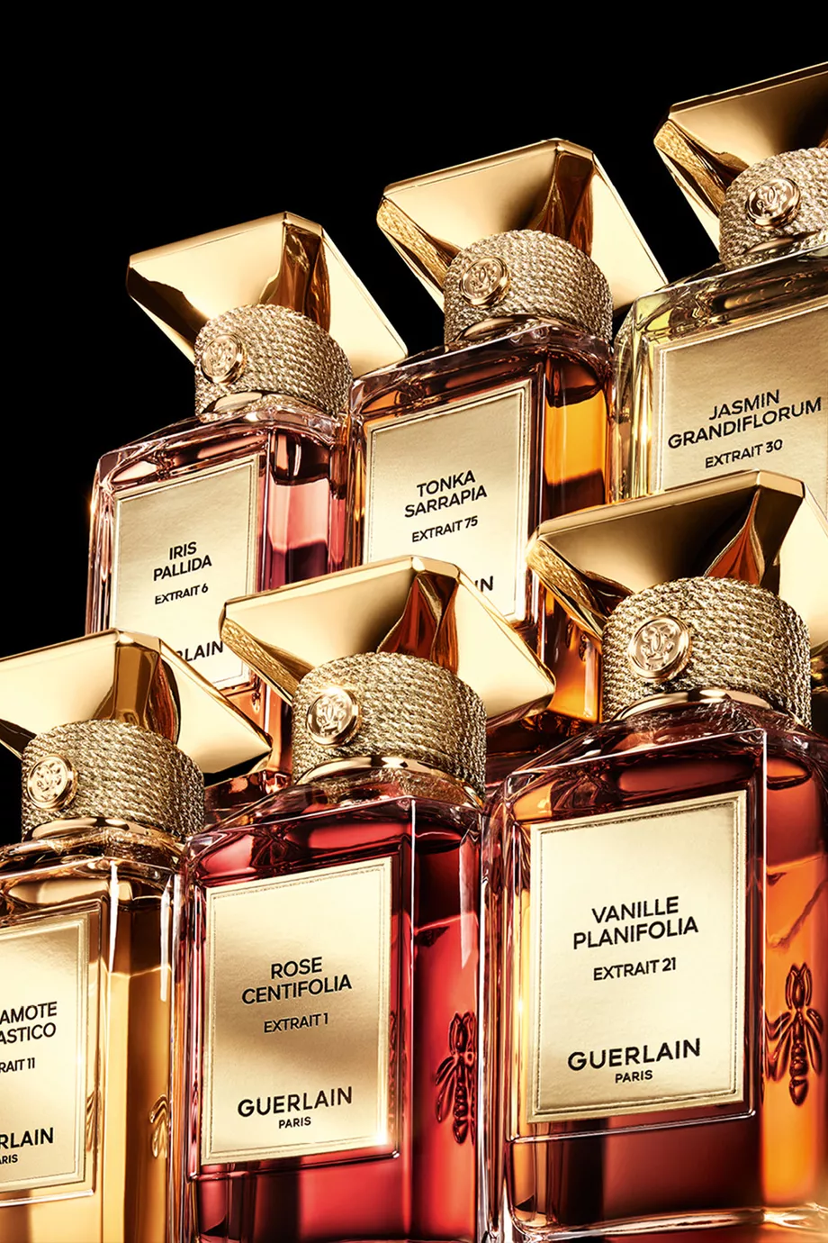 Buy Guerlain Tonka Sarrapia Extrait 75 Eau de Parfum, 50ml For