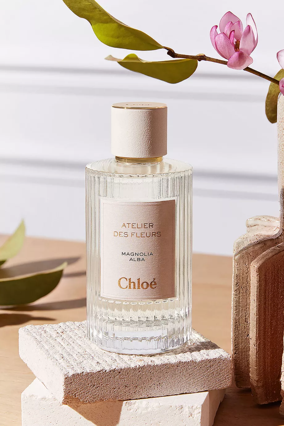 Chloé Atelier des Fleurs Magnolia Alba Amazon.com : Chloe Atelier Des Fleurs Magnolia Alba Eau de