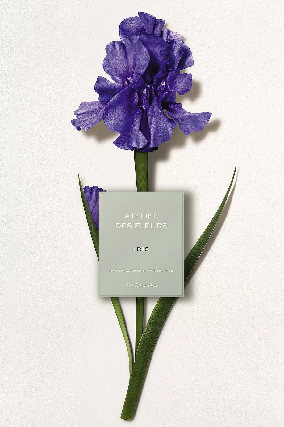 Buy Chloé Perfumes Atelier des Fleurs Iris Eau de Parfum, 150ml