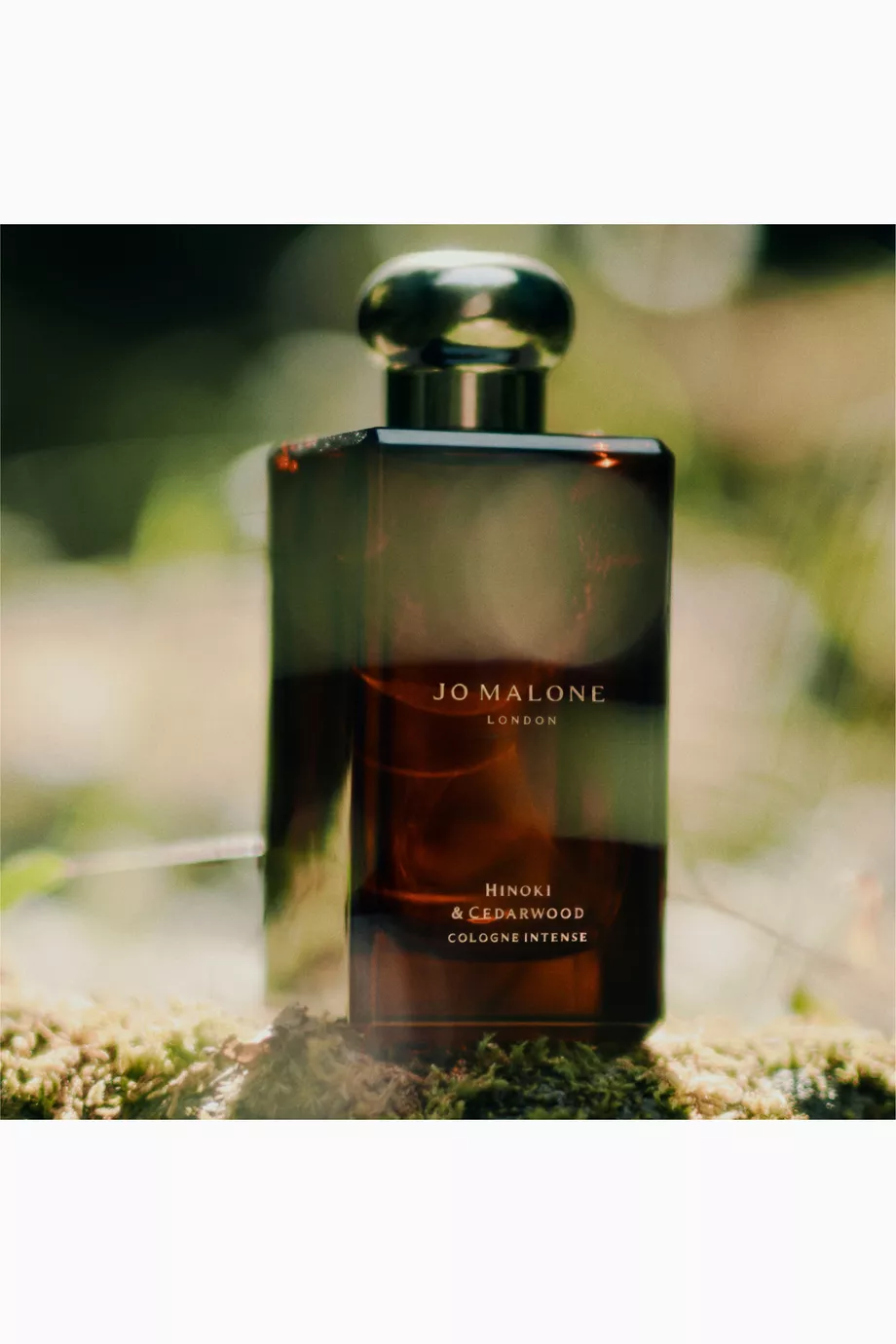 香水(ユニセックス) JO MALONE Hinoki & Cedarwood 50ml Amazon.com : Jo Malone Hinoki and Cedarwood Intense for
