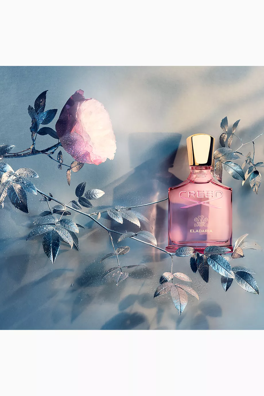 Buy Creed Millesime Eladaria Eau de Parfum, 75ml For Women